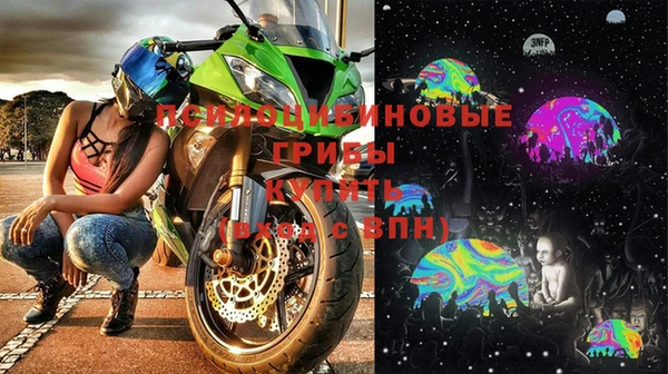 apvp Касимов