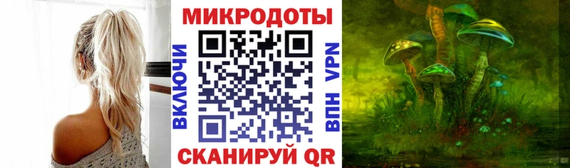 где купить наркоту  Курчалой  Галлюциногенные грибы Magic Shrooms 