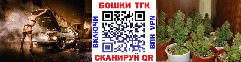 купить наркотики цена  Курчалой  Шишки марихуана THC 21% 
